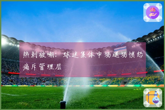 热刺被嘲：球迷集体中场退场愤怒痛斥管理层